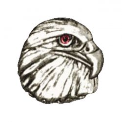 MCS Biker Pins Eagle Head Pin