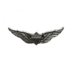 MCS Biker Pins Aviator Wings Pin
