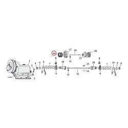 MCS Spring, Shifter Gear / Starter Clutch