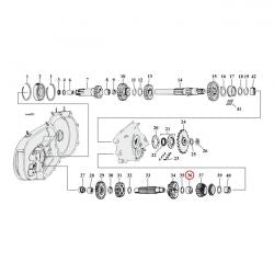 mcs_904405