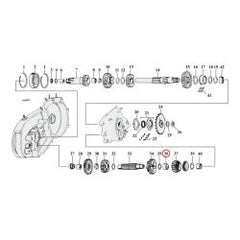 mcs_904405