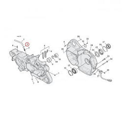 mcs_910068
