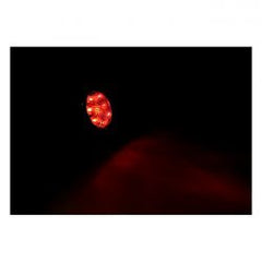MCS Bates Style Led Taillight. Chrome. Smoke Lens