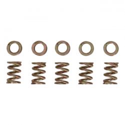 MCS Spring, Idle Crew Keihin CV Carburetor