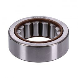 MCS Bearing, Pinion Shaft