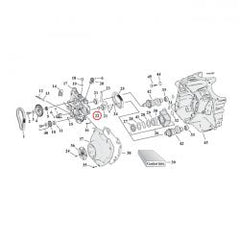 MCS Ret. Ring, Cam Ball Bearing