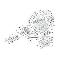 MCS Transmission Fill Plug. Round Head