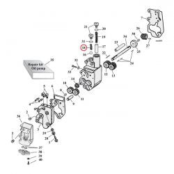 MCS Spring, Oil Pump Check Valve