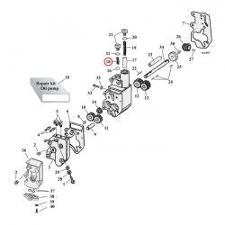 MCS Spring, Oil Pump Check Valve