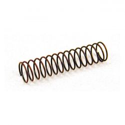 MCS Spring, Check Valve Oil Pump