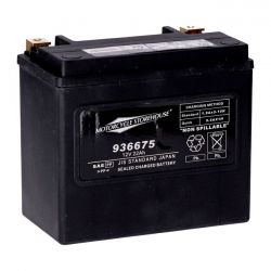 MCS Standard Series - Agm Sealed Battery. 12V, 22Ah. 325Cca