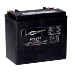 MCS Standard Series - Agm Sealed Battery. 12V, 22Ah. 325Cca