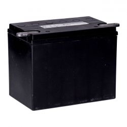 MCS Standard Series - Agm Sealed Battery. 12V, 30Ah. 370Cca