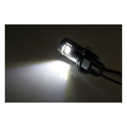 MCS Burdett, Led License Plate Mount Bolt. Chrome