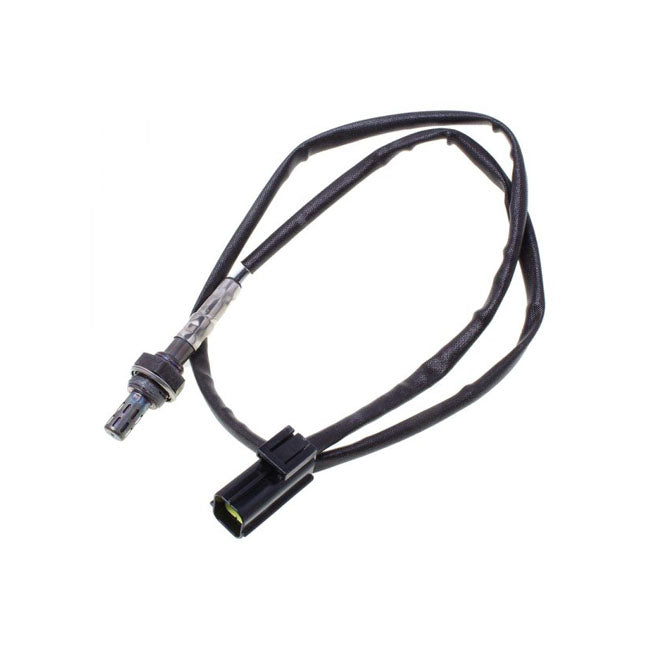 O2 sensor Triumph daytona, Speed Triple, Sprint, Tiger