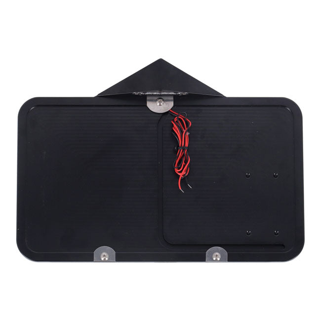 LICENSE PLATE FRAME LED