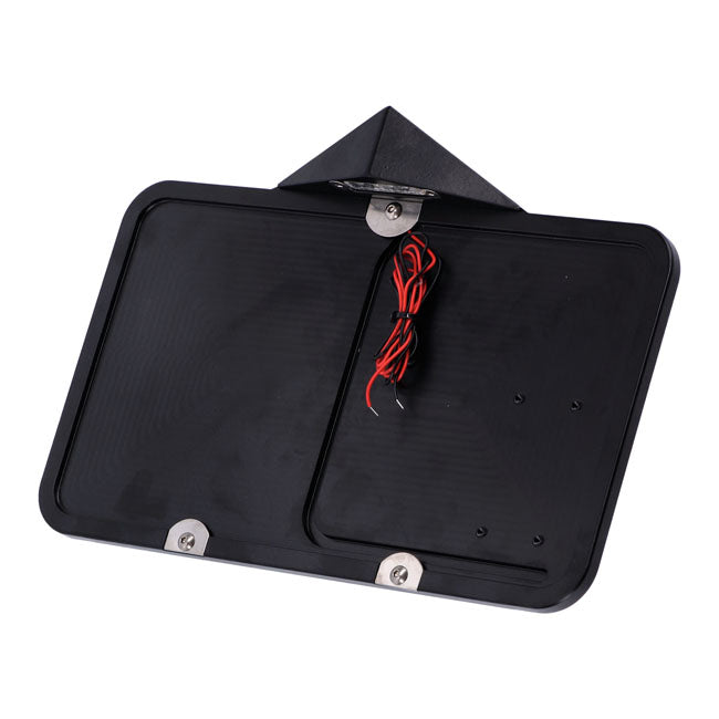 LICENSE PLATE FRAME LED