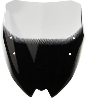 MRA ROADSTER G 310 R - Racing windscreen "NRM" 2016-
