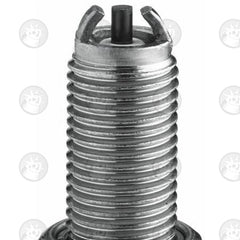 NGK Spark Plug Special CR7EKB | 4455