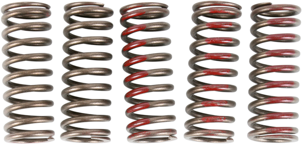 ProCircuit Clutch Spring Set | CSH10250-CS