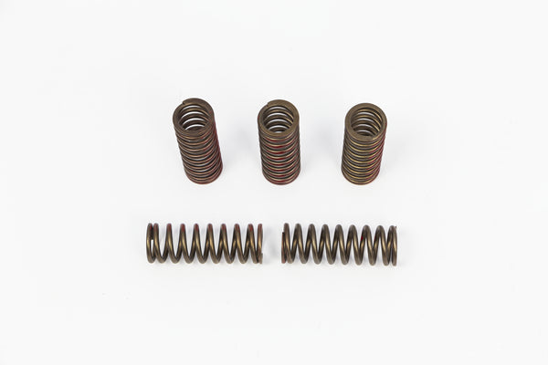ProCircuit Clutch Spring Set | CSH20250-CS