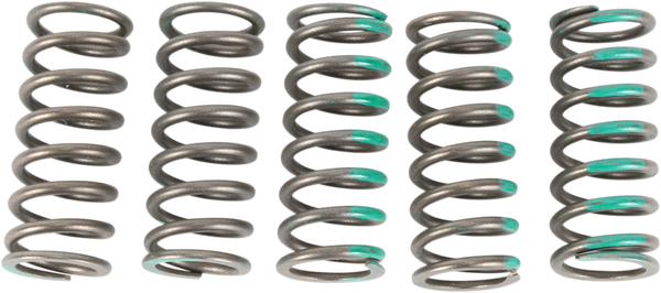 ProCircuit Clutch Spring Set | CSK19450-CS