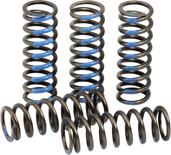 ProCircuit Clutch Spring Set | CSY14250-CS