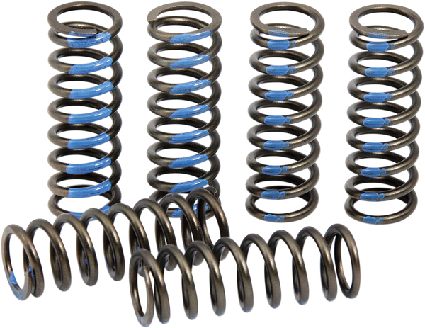 ProCircuit Clutch Spring Set | CSY19250-CS