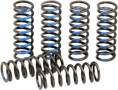 ProCircuit Clutch Spring Set | CSY19250-CS