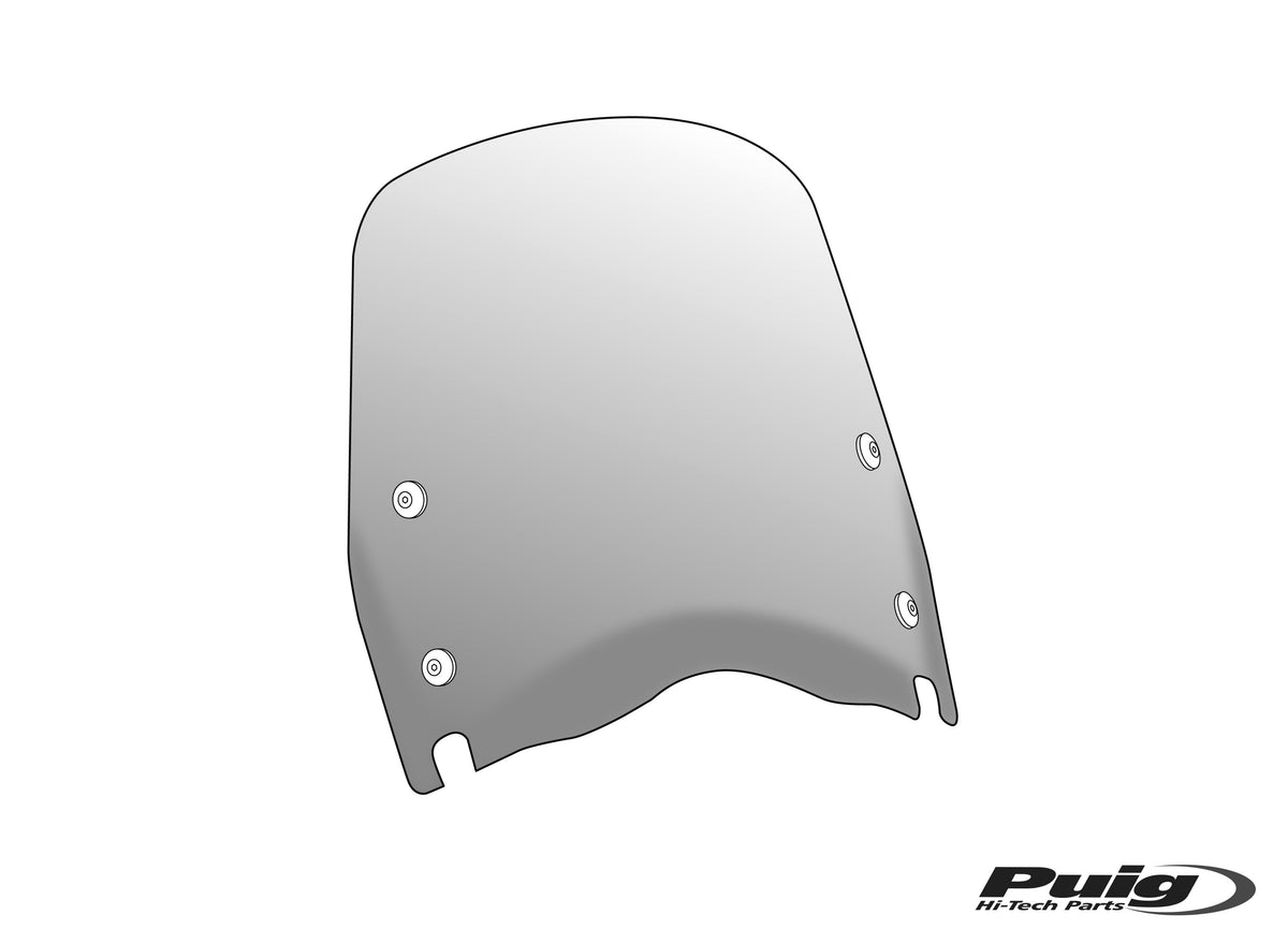 Puig Windshield T.P