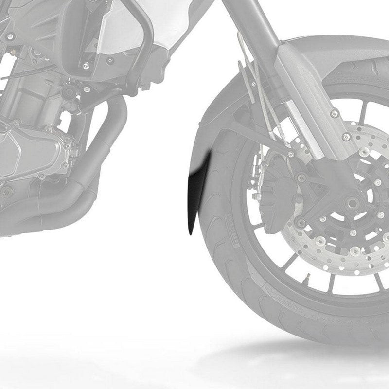 pyr_059601