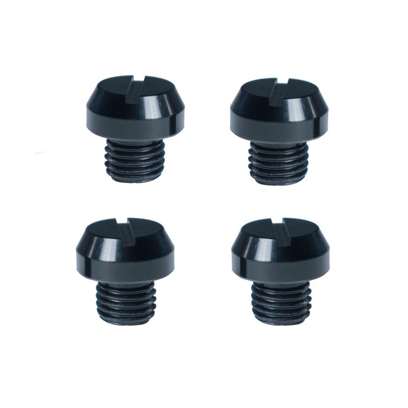 Mirror Blanking Bolts M10 x 8mm