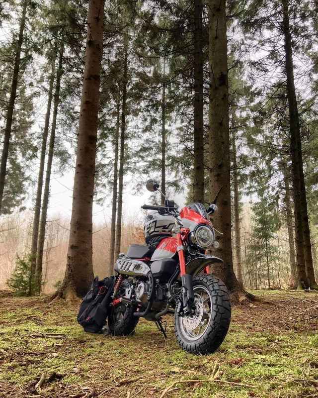 Pyramid Plastics Fly Screen Pearl Nebula Red/Ross White Honda Monkey 125 2018> | 21250R
