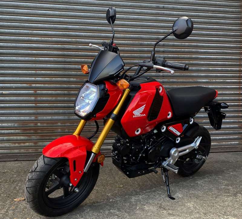 Pyramid Fly Screen | Carbon Look | Honda MSX 125 2021>Current | 21280X