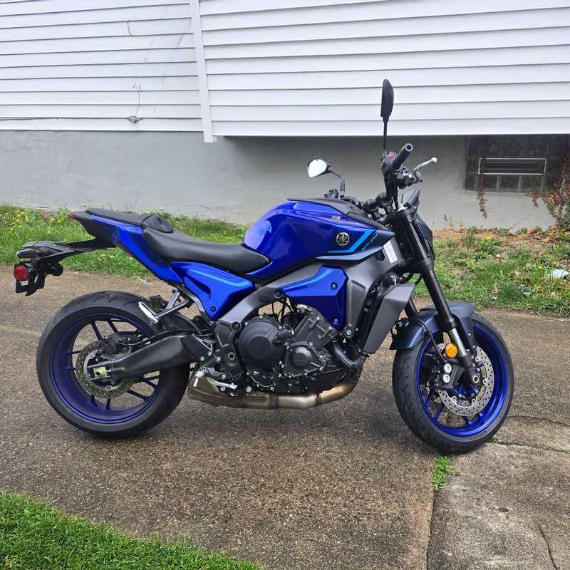 Rear Infill Panels Blue