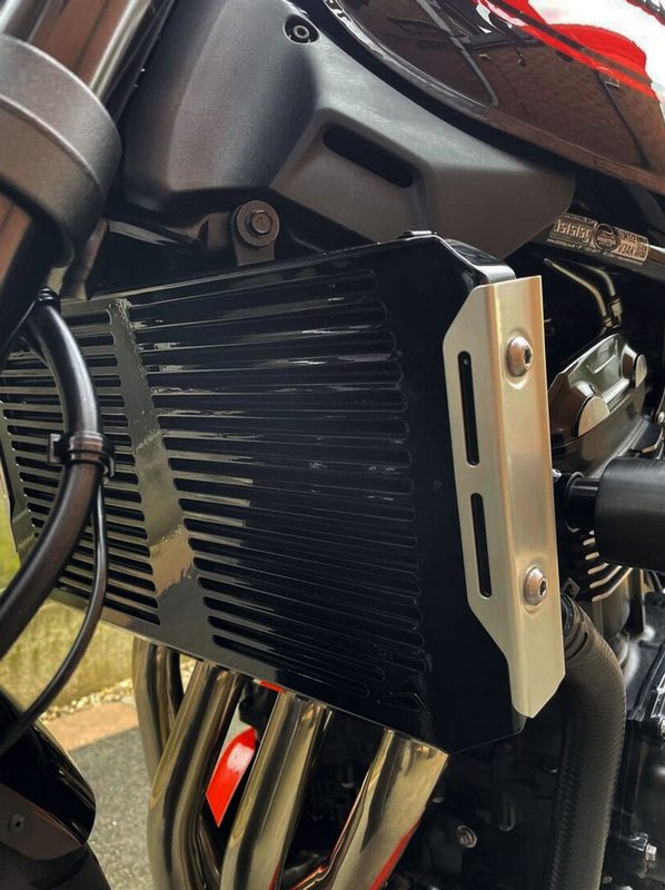Pyramid Radiator Guard | Matte Black | Kawasaki Z 900 RS 2018>2020 | 523900M
