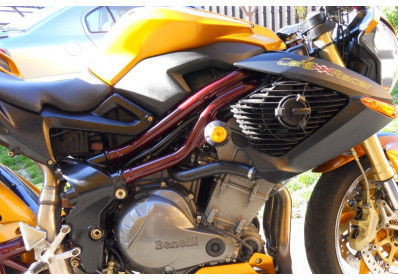 RD Moto Crash Protector | BN2-PHV2