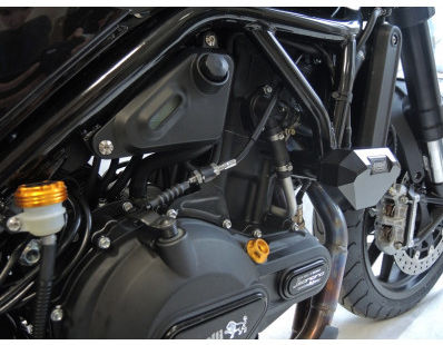 RD Moto Crash Slider | BN7SDM-SLDM