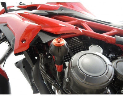 RD Moto Crash Protector | BN8-PHV2