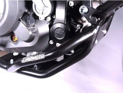 RD Moto Crash Frames | CF123