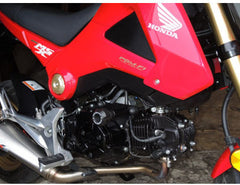 RD Moto Crash Protector | H50-PH01