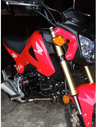 RD Moto Crash Protector | H50-PHV2