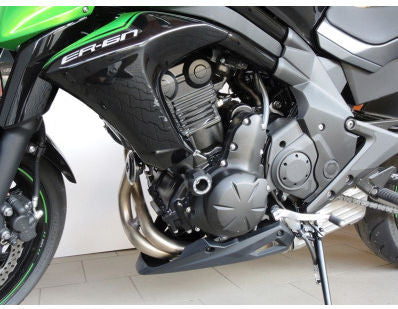 RD Moto Crash Protector | K30-PH01