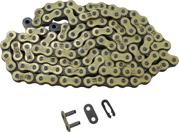 Regina 520 RH2 Series Chain | 135RH2/1003