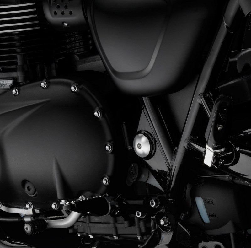 Rizoma Swing Arm Hole Plugs (Left) | ZTH053