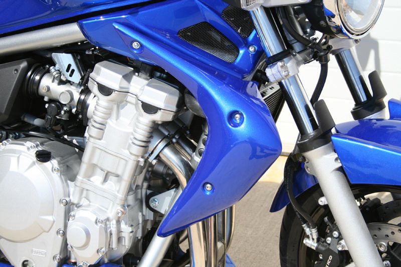 S2-Concept Radiator Scoops BANDIT 650 painted | 1257