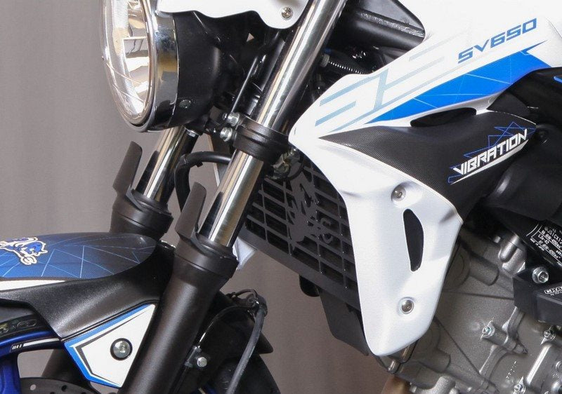 S2-Concept Radiator grille SV-650 | W12S1434