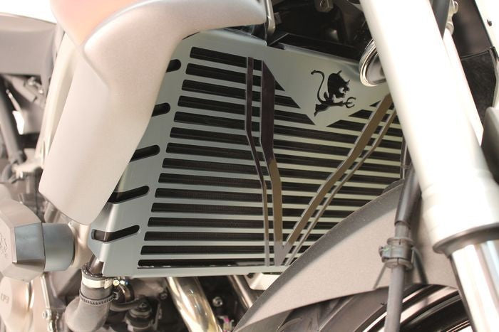 S2-Concept Radiator grille MT09 | W12Y4604