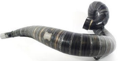 sca_001-029010