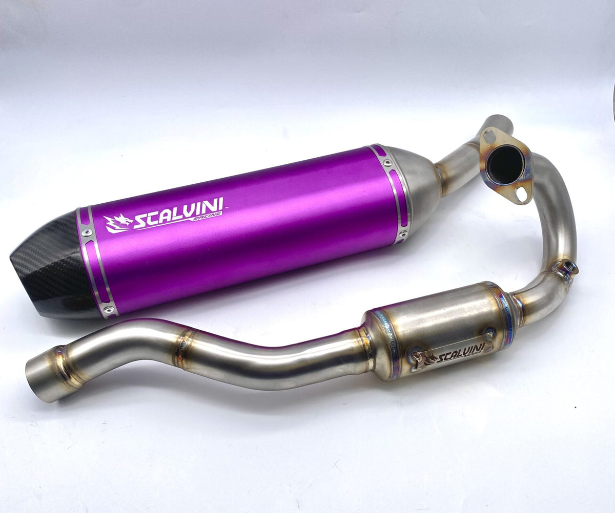 Complete exhaust Alu PURPLE/Carbon